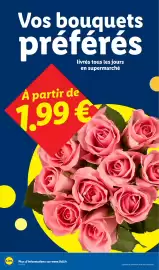 Catalogue Lidl semaine 15 page 28