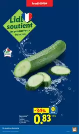 Catalogue Lidl semaine 15 page 5