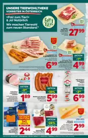 Billa Box Flugblatt Seite 9