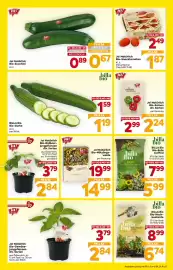 Billa Box Flugblatt Seite 3