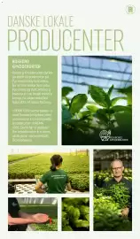 REMA 1000 tilbudsavis Side 13