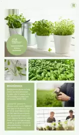 REMA 1000 tilbudsavis Side 14