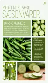 REMA 1000 tilbudsavis Side 3