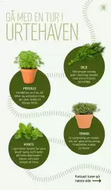 REMA 1000 tilbudsavis Side 5