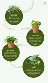 REMA 1000 tilbudsavis Side 6