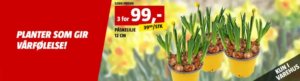 Bauhaus kundeavis Side 5