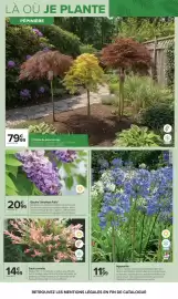 Catalogue Carrefour page 7