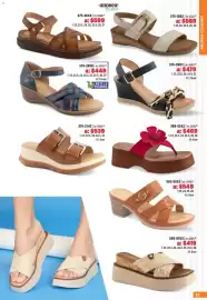 Catálogo Andrea Página 63