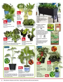 Bauhaus leták Strana 2