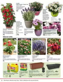 Bauhaus leták Strana 4