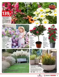 Bauhaus leták Strana 5