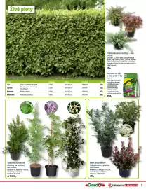 Bauhaus leták Strana 7