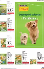 Catalog DM Pagină 29