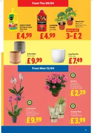 Lidl leaflet week 15 Page 23