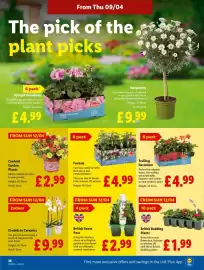 Lidl leaflet week 15 Page 20