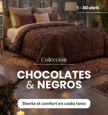 Brissa (válido hasta 30-04)