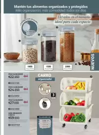 Catálogo Croydon Página 243