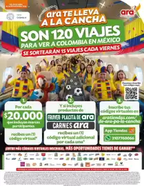 Catálogo Ara Página 1