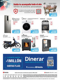 Catálogo Naldo Lombardi Página 16