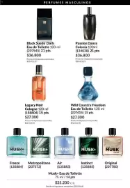 Catálogo Avon Página 100