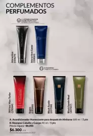 Catálogo Avon Página 172