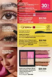 Catálogo Avon Página 43