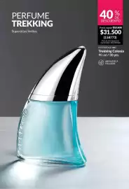 Catálogo Avon Página 90