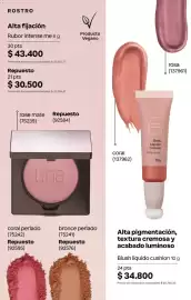 Catálogo Natura Página 141