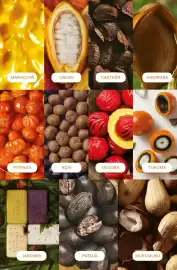 Catálogo Natura Página 206