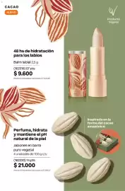 Catálogo Natura Página 213