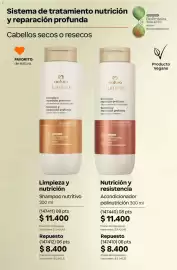 Catálogo Natura Página 257