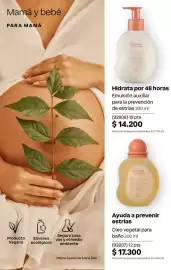 Catálogo Natura Página 305