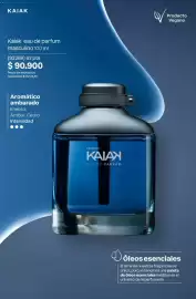 Catálogo Natura Página 95