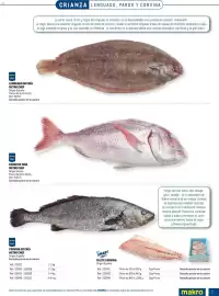 Catálogo Makro Página 7