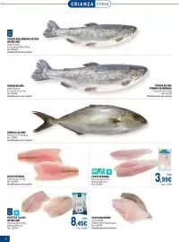 Catálogo Makro Página 8