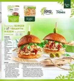 Albert leták Strana 19