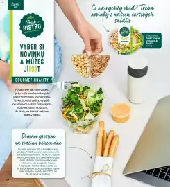 Albert leták Strana 24