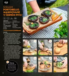 Albert leták Strana 36