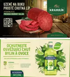 Albert leták Strana 58