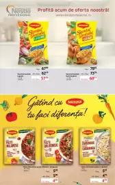 Catalog Selgros Pagină 17