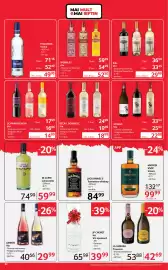 Catalog Selgros Pagină 22