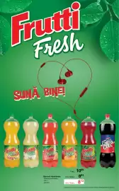 Catalog Selgros Pagină 26