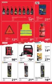 Catalog Selgros Pagină 21