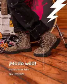 Catálogo Ficcus Página 1