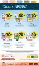 Folleto Clarel Página 15