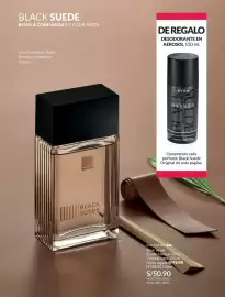 Catálogo Avon Página 100