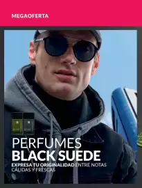 Catálogo Avon Página 101