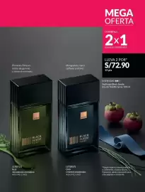 Catálogo Avon Página 102