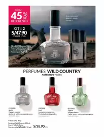 Catálogo Avon Página 107