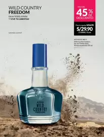 Catálogo Avon Página 108